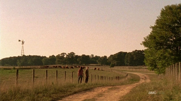 31-THE_WALKING_DEAD_SEASON_2